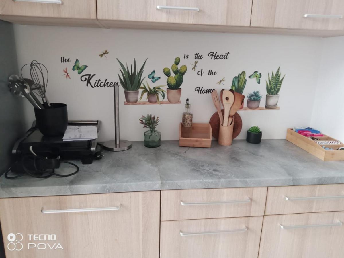 Grand Appartement Au Coeur De 斯特拉斯堡 外观 照片